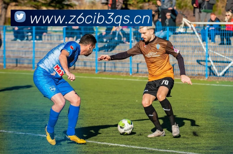 App Interface Preview